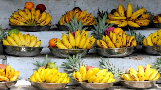 Cancer : le stade de développement du mélanome cutané déterminé par une enzyme de la peau