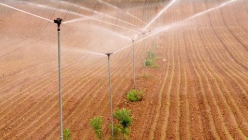 Céréaliculture à Ain Temouchent : des kits d’aspersion distribués au profit de fellahs