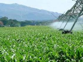 Concession agricole à Blida: plus de 1,4 milliard DA de redevances impayées par les agriculteurs