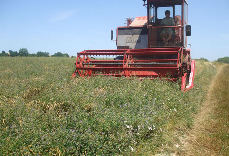 Des mesures pour la décentralisation du secteur agricole