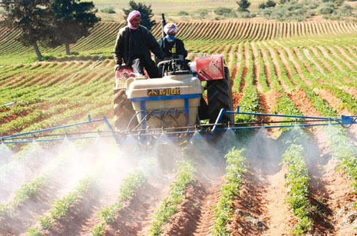 Elle a enregistré une croissance de 3,3% au troisième trimestre 2015: l’économie algérienne résiste à la chute des prix du pétrole