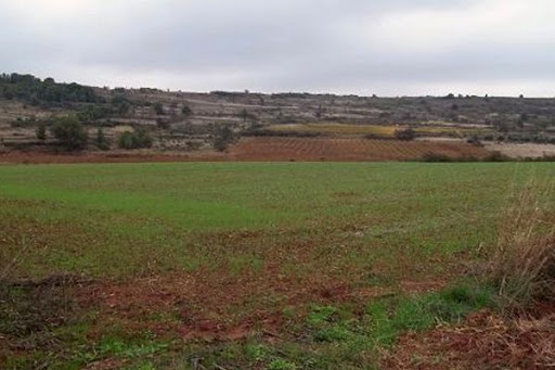 Foncier agricole: Plus 185.000 actes de concessions attribués