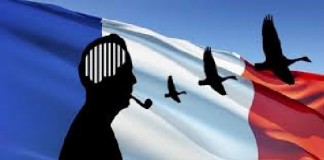 Fuite de cerveaux : Un chiffre alarmant pour l’année en cours