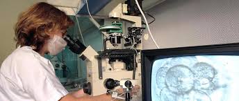 GB : des scientifiques autorisés à manipuler pour la première fois des embryons humains