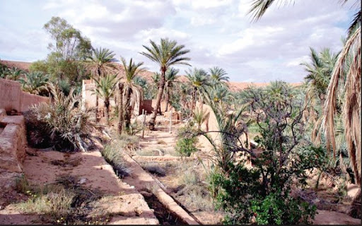 Ghardaia : la plus grave sécheresse depuis 2008