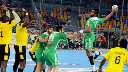 Handball/CAN-2016: « les joueurs ont tout donné, la Fédération doit assumer la responsabilité de l’échec » (Nedjel)