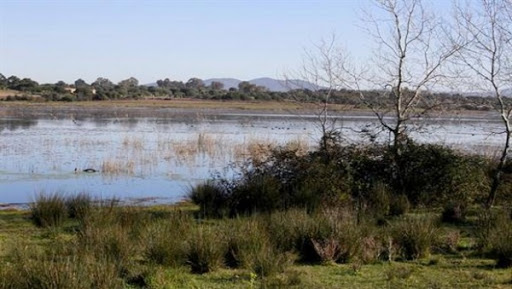 Inauguration à Skikda du premier centre algérien de sensibilisation et d’éducation environnementales