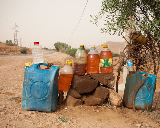 Interception de 08 contrebandiers, 13 immigrants clandestins et 11 criminels dans différentes opérations militaires