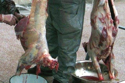 Jijel: renforcer la lutte contre les abattoirs clandestins