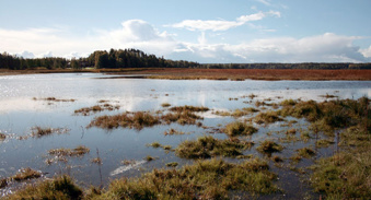 Journée mondiale des zones humides : Visite guidée pour 400 élèves de Mostaganem à la Macta