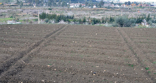 La menace s’accentue sur l’agriculture et l’AEP : sécheresse ou déficit pluviométrique ?