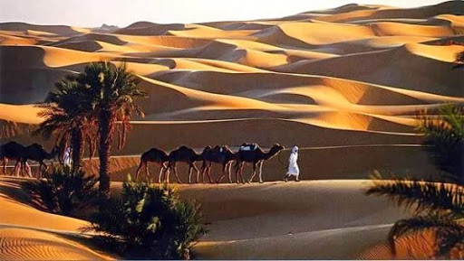 La promotion du secteur du tourisme en Algérie implique un changement des mentalités (Sellal)