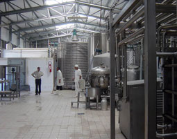 L&rsquo;Algérie a consolidé son infrastructure et son tissu économique (Bouteflika)