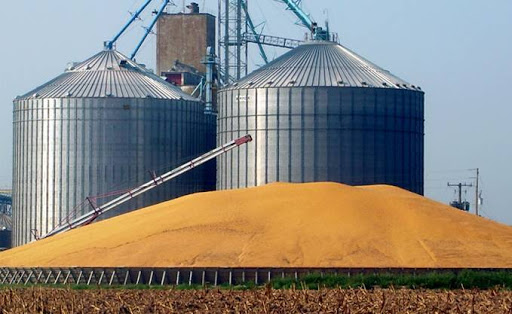 L’Algérie commande 840 000 tonnes de blé