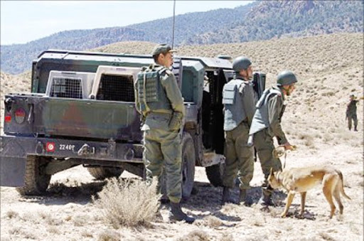 L’armée se mobilise contre l’immigration suspecte