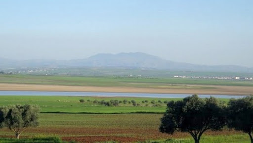 L’artémia, un composant de l’alimentation des alevins disponible dans la Sebkha d’Ain Temouchent et d’Oran