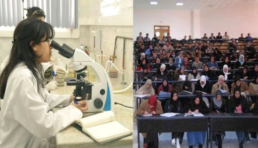 Les établissements algériens de formation supérieure se maintiennent en « bonne position »