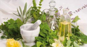 L’exercice illégal de la phytothérapie en Algérie : la course vers l’argent facile !