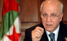 M. Medelci : La révision de la Constitution, une «avancée remarquable»