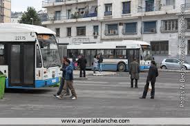 Nouveau terminus et matérialisation des arrêts de la ligne 37 : Le syndicat des transporteurs obtient gain de cause