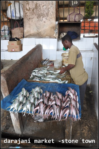 Oran: la sardine à 700 dinars!