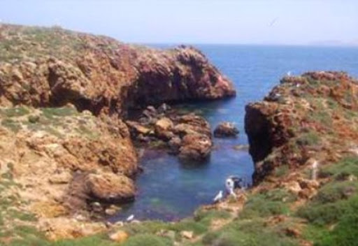 Oran: projet de conservation et utilisation durable du patrimoine naturel de « l’ile plane »