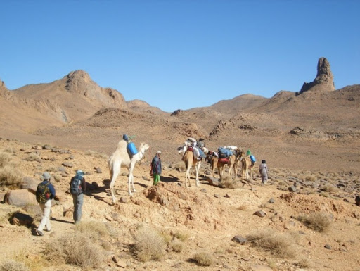 Parc culturel de l’Ahaggar: diverses actions pour préserver la biodiversité à Tafdest et Taïssa