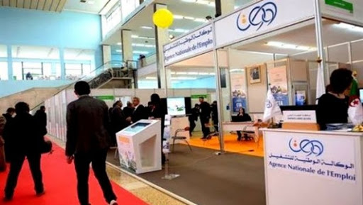 Placement de 21.781 demandeurs d’emploi en 2015 dans le Sud-ouest (ANEM)