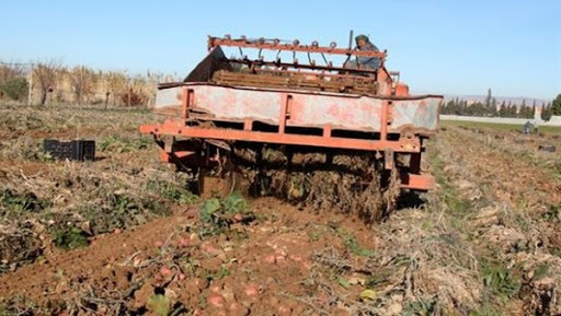 Pomme de terre: Ferroukhi annonce des mesures pour faciliter les procédures d&rsquo;exportation