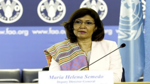 Sécurité alimentaire: la FAO met en garde contre l&rsquo;utilisation excessive des antibiotiques