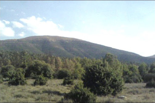 Situé sur le massif forestier qui surplombe la villes des genêts: le projet d’une forêt récréative à Harrouza se fait désirer