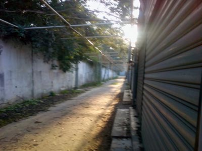 Tizi Ouzou Un marché de proximité à l’abandon