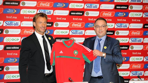 Un Renard pour guider les Lions