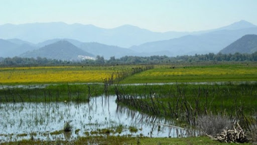Zones humides : informer et sensibiliser davantage le citoyen