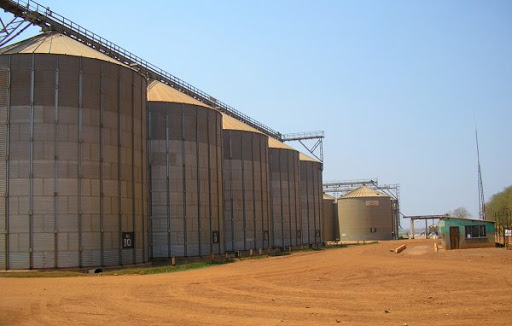 3,3 Millions d’hectares ensemencés cette année