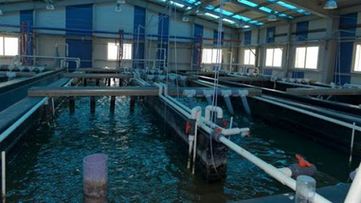 Ain Temouchent: taux d’avancement de 50% du projet d’aménagement de l’aquarium de Beni Saf