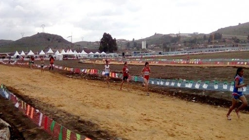 Athlétisme: l&rsquo;élite des jeunes talents en regroupement à Biskra (Fédération)