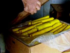 Attentats de Bruxelles: aucune victime algérienne n’est à déplorer pour le moment (MAE)