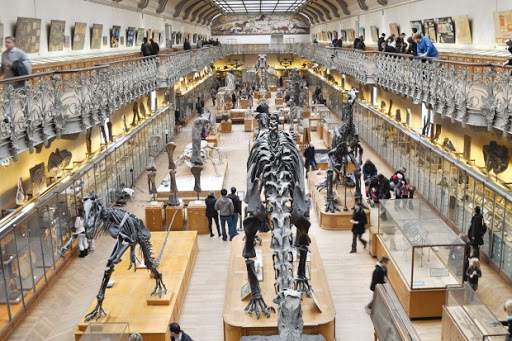 Au moins 1 543 espèces de dinosaures ont vécu sur Terre