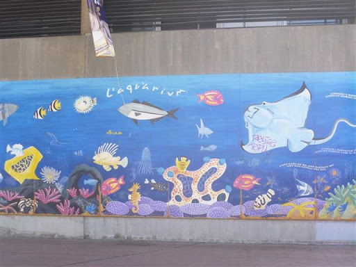 Béni-Saf: L&rsquo;aquarium rouvrira ses portes en juillet prochain