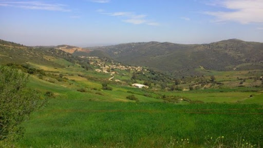 Blida : près de 450 aides à l’habitat rural octroyés en deux ans