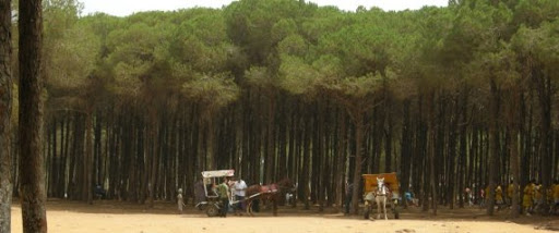 Bouchaoui: La gendarmerie arrête trois individus accusés d’avoir tenté de kidnapper une ressortissante allemande