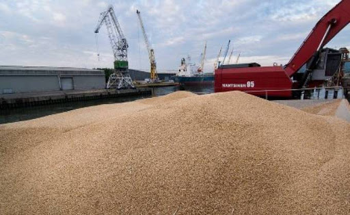 Céréales : baisse de 40% des importations en 3 mois