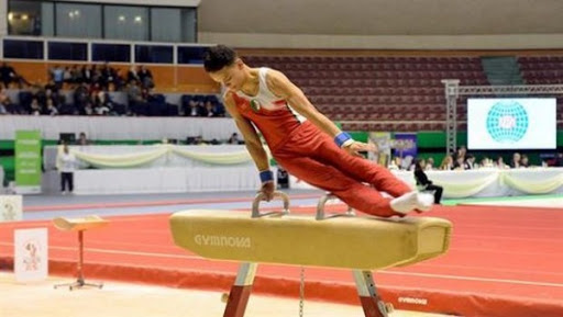 Championnat d&rsquo;Afrique de gymnastique : l&rsquo;Algérie termine à la 2e place
