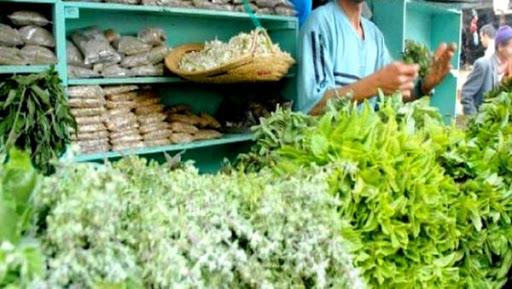 Commerce d’herbes aromatiques à M’sila: activité anodine, revenus conséquents