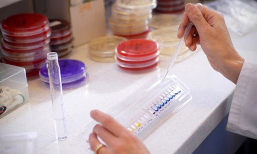 Convention entre le CHU de Tizi Ouzou et l’institut Pasteur en faveur des insuffisants rénaux