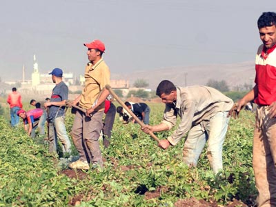 Coopératives agricoles Opération réanimation