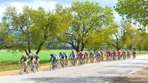 Cyclisme/Tour international de Blida (3e et dernière étape): classement général