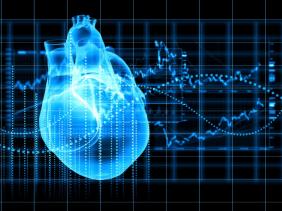 Des chercheurs identifient deux gènes liés aux risques cardio-vasculaires