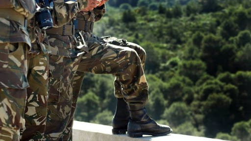 Elimination de deux terroristes à Tizi-Ouzou et El Oued
